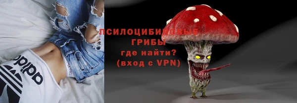 твердый Зеленодольск