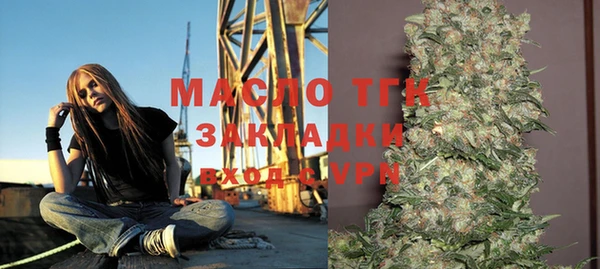 твердый Зеленодольск