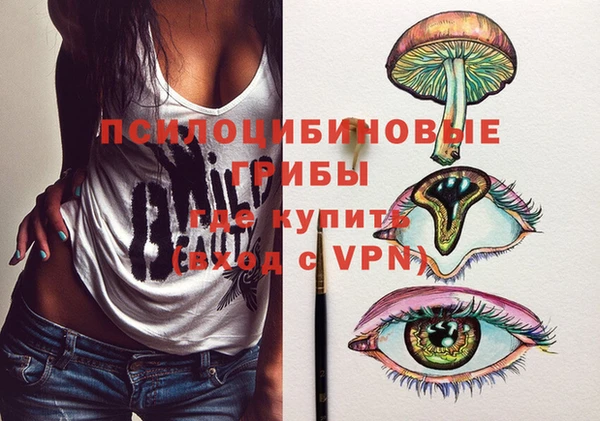 твердый Заводоуковск